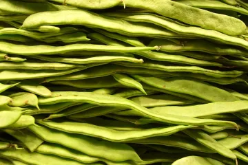 Fino varivo s mahunama i mesom