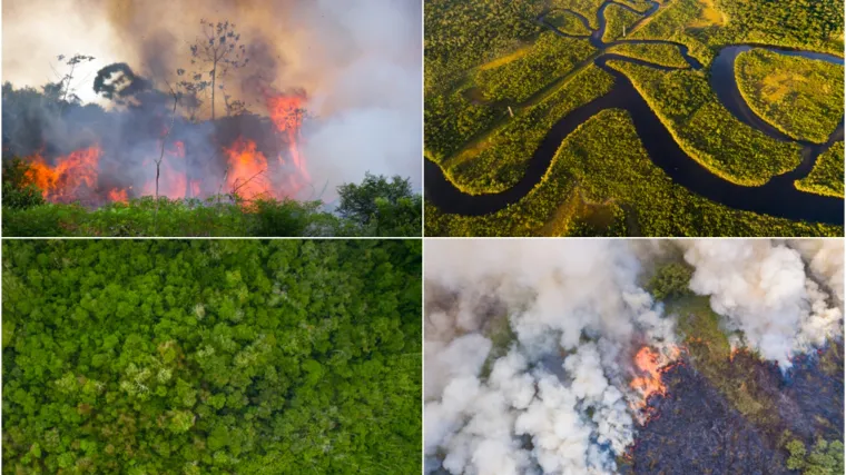 U Amazoniji najvi&scaron;e lipanjskih požara u zadnjih 14 godina: 'Taj broj će vjerojatno rasti'