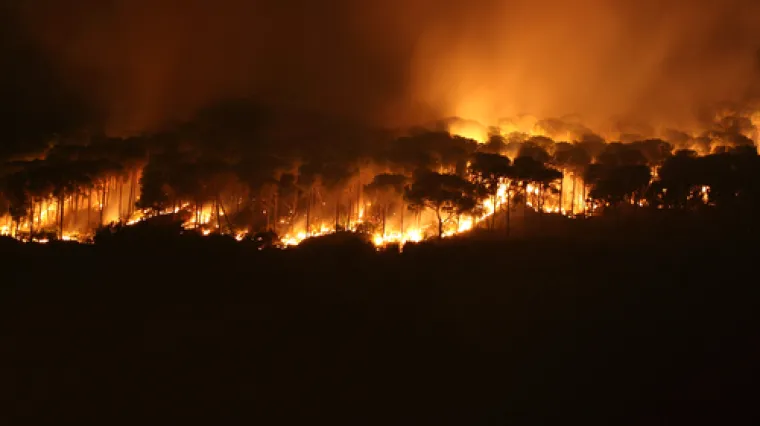 Vatra hara Rusijom: Vi&scaron;e od 4700 ljudi, stotine vozila, 25 aviona i helikoptera nastoje ugasiti požare