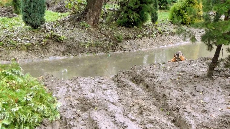 Nevjerojatna nesreća: S Mercedesom sletio s ceste, udario u stablo, pokupio znak i preletio potok! Mladići lak&scaron;e, a djevojka teže ozlijeđena
