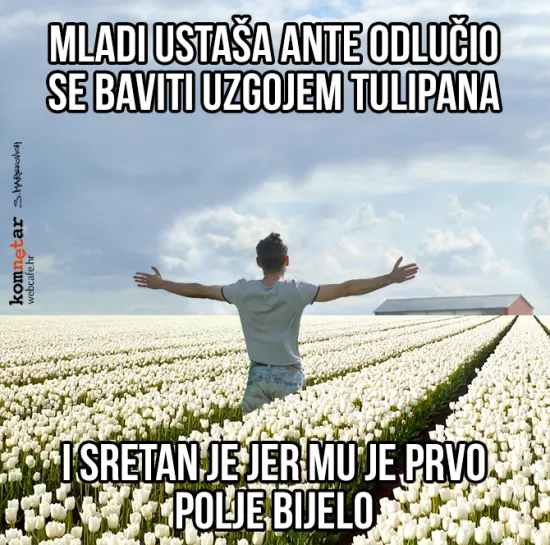 A sad ne&scaron;to potpuno drugačije...