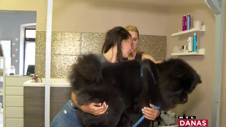 Prvi pseći vrtić u Rijeci: Prvo pranje, pa &scaron;i&scaron;anje, feniranje... Jer odlazak u vrtić važan je korak u pasjem životu