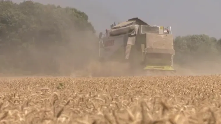 Kupite hrvatsku zemlju dok je jo&scaron; ima! Cijena zemlje sve vi&scaron;e raste jer ističe embargo na njezinu prodaju strancima!