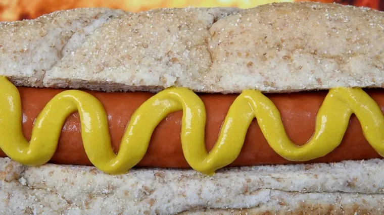 Hot dog savršen finger food