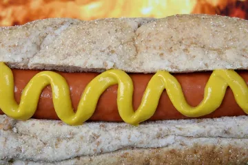 Hot dog savršen finger food