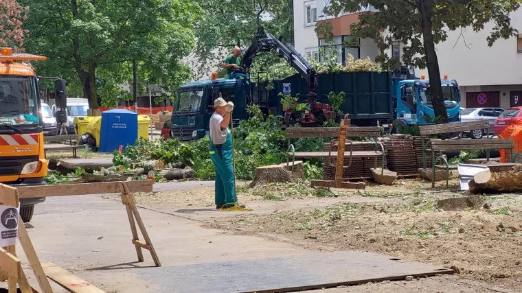 FOTO Sječa stabala na Srednjacima: 'Ta stabla su starija od mene. Po njima smo se verali i igrali. I tako generacijama'