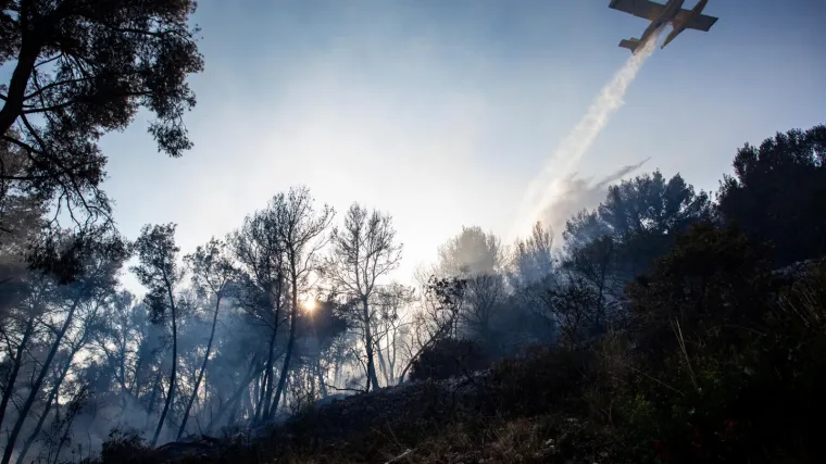 Zbog požara na otoku kod Zadra hitno evakuirano 50-ak ljudi 'Bilo je domaćih, turista, djece...'