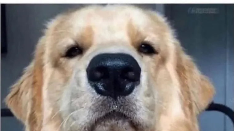 Kako stariji ljudi slikaju selfie