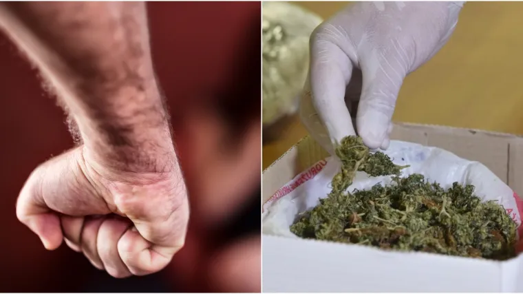 Policija mu upala u stan zbog obiteljskog nasilja i slučajno mu raskrinkala biznis s marihuanom