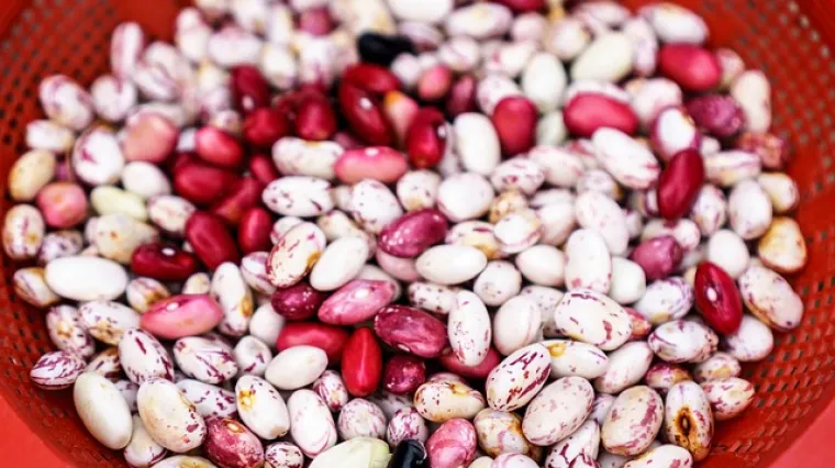 Mane&scaron;tra s grahom i suhim mesom kao glavno jelo