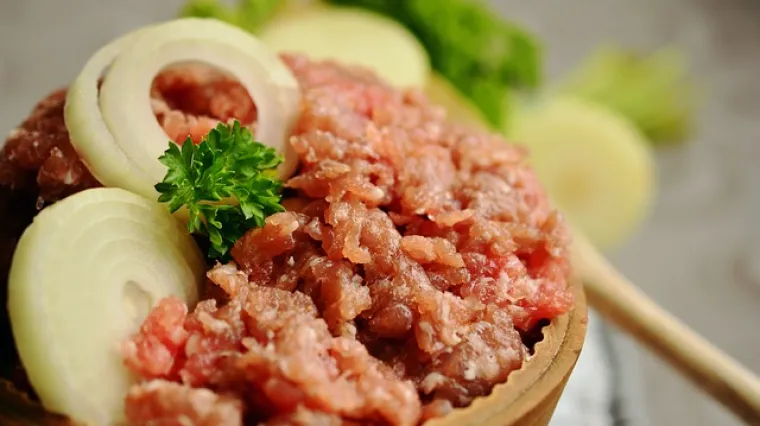 Tjestenina penne s mesnim okruglicama od puretine