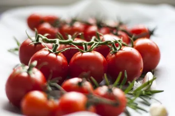 Tjestenina pužići s puretinom u umaku od rajčice