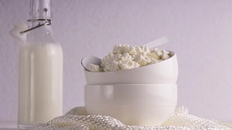 Tjestenina iz pećnice sa svježim kravljim sirom