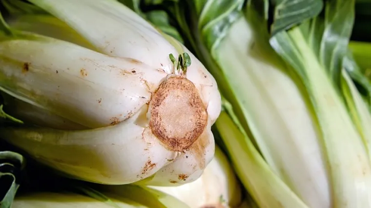 Soparnik jelo do blitve, mladog luka i per&scaron;ina