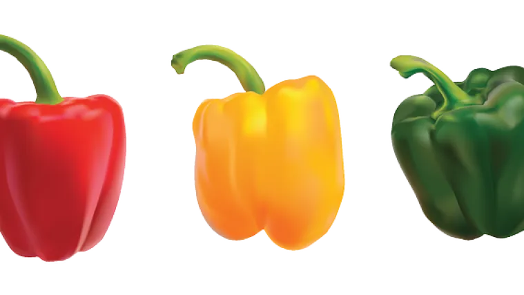 Punjena paprika