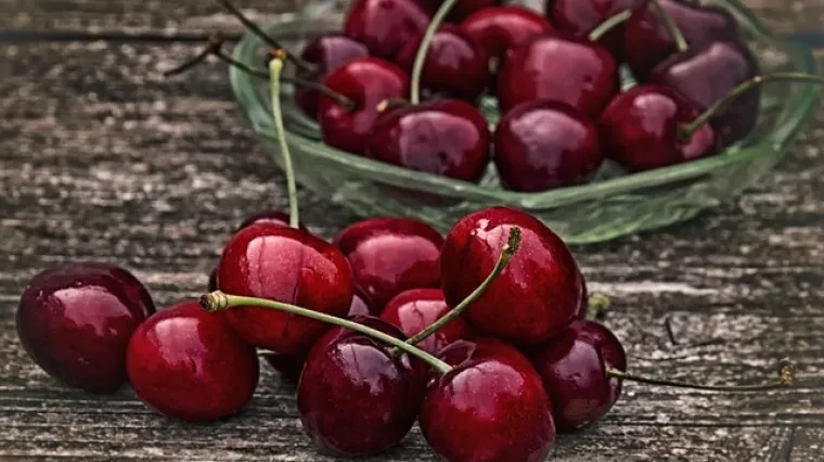 Sočni kolač od svježeg kravljeg sira i vi&scaron;anja