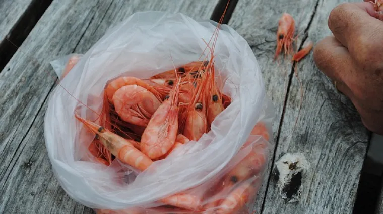 &Scaron;kampi na buzaru - jelo gotovo za pola sata