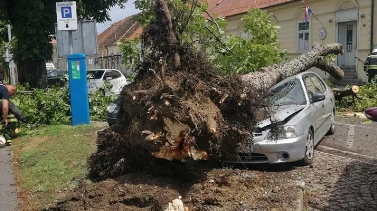 FOTO Snažno nevrijeme kod Petrinje i Gline! O&scaron;tećene su kuće, počupana stabla... Ljudi u očaju: 'Pogodilo nas je sve &scaron;to može...'