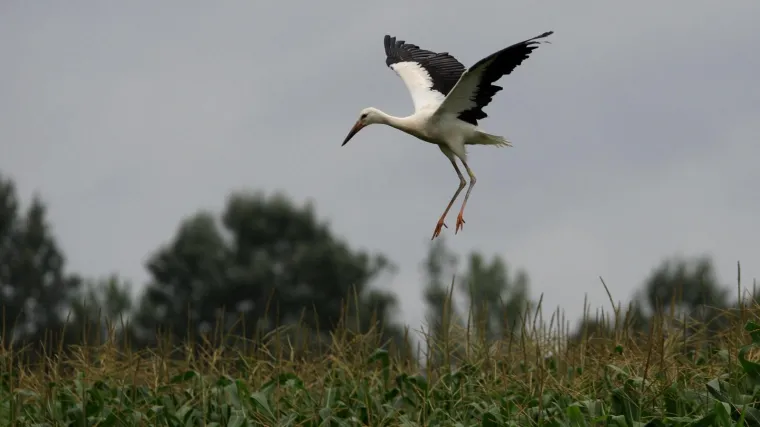 Plaćanje kriptovalutom uveo i jedan park prirode u Hrvatskoj