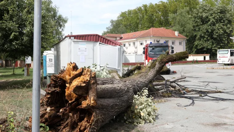 Tijekom snažne oluje poginuo mu&scaron;karac u BiH: Na njega je palo drvo koje je vjetar i&scaron;čupao iz zemlje
