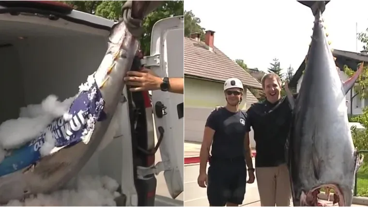 Rekordni ulov od 280 kilograma slovenskog ribara ove sezone u Jadranskom moru: 'Sushi, sashimi, tartar, odresci...'