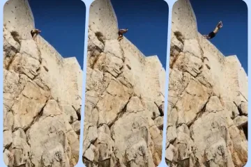 Pogledajte impresivni skok u more sa zidina (VIDEO)