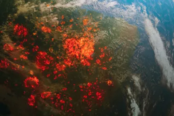 Upravo je objavljeno, svijet je u gorem stanju nego što smo mislili: 'Trebamo agresivnu akciju!'