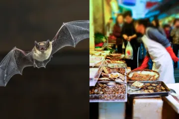 Je li koronavirus ipak došao iz laboratorija u Wuhanu? Čelnik WHO priznao da je teorija 'bijega' virusa ipak moguća