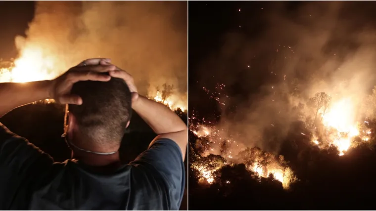 Mediteran i dalje gori, u Alžiru zbog katastrofalnih požara i 65 žrtava trodnevna žalost: 'Priroda se neće oporaviti brzo'