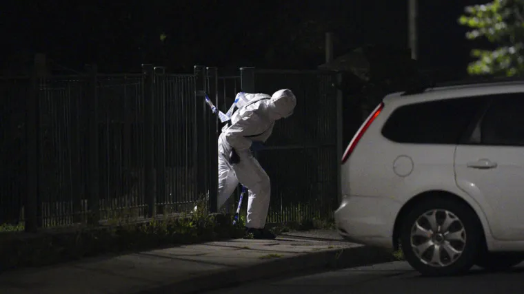 &Scaron;estero mrtvih u krvavom pohodu! Pomahnitali mu&scaron;karac ubio majku i njenu petogodi&scaron;nju kćer, ljudi koje su &scaron;etali pse...