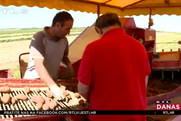 U berbi krumpira se obaraju negativni rekordi