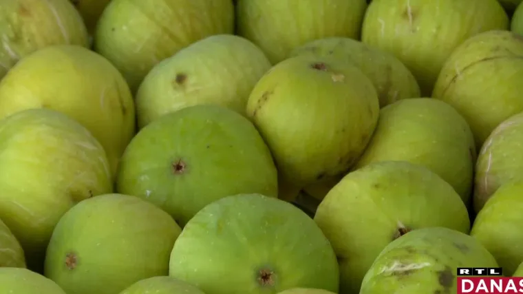 Lo&scaron;e vijesti za sve one koji vole smokve: Uzgajivači su ovu godinu prekrižili