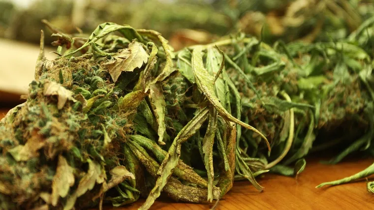 Vojnikinja kolegama dala kolačiće s travom, sada joj prijeti pet godina zatvora