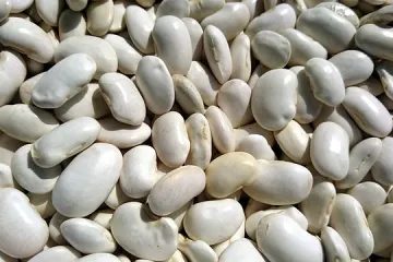 Zapečeni bijeli grah s kobasicom