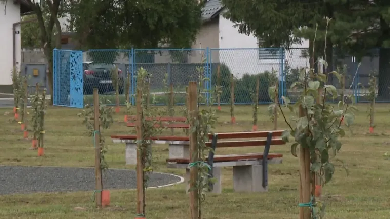 Prvi javni voćnjak u ovom dijelu EU-a educira znatiželjne i daje potrebitima: Evo na čijem stolu će se naći prvi plodovi
