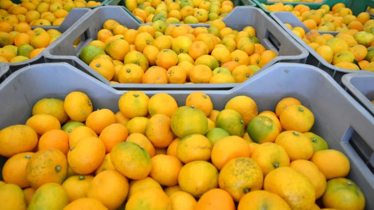 U Zadru je uhićen 49-godi&scaron;njak zbog provale: Prenosio je ka&scaron;ete ukradenog voća i povrća