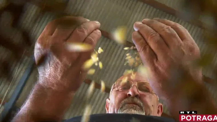 Poskupjeli voće i povrće, stižu najave i za kruh. Potraga otkriva je li ovo tek početak vala poskupljenja