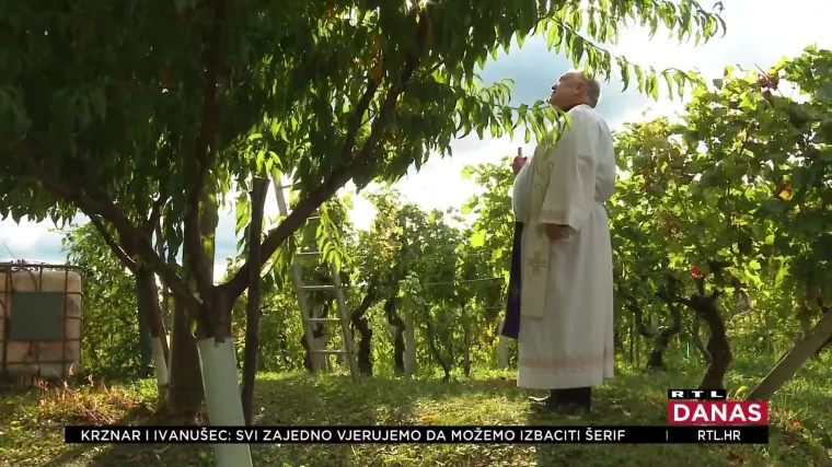 Niste čuli za Bartolovo? Trebali biste, danas se slavi treći najveći blagdan vinogradara i vinara