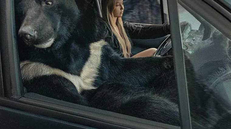 Ovaj se medvjed obožava voziti u autu: Najdraže mu je biti suvozač, ali ba&scaron; i ne voli nositi pojas. Policija nema prigovora