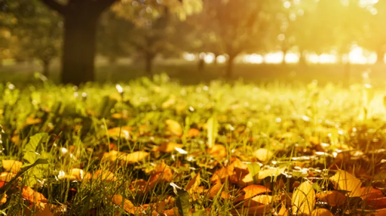 Stigao nam je rujan: Dani su kraći, temperature su za par stupnjeva niže, ali ne očajavajte