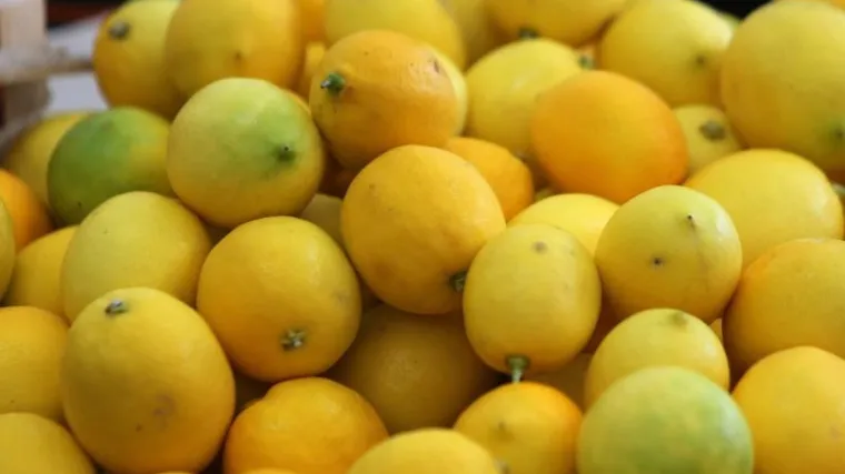 Ozbiljan rizik: U limunima iz Turske pronađen klor