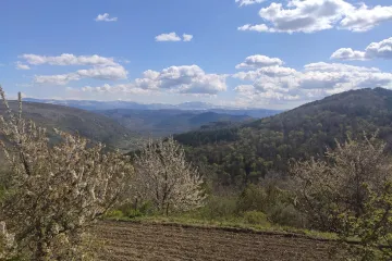 Rođendan u prirodi - odaberite savr&scaron;eno mjesto za proslavu rođendana u prirodi