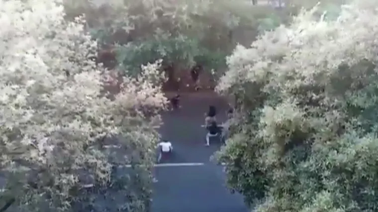 Ovo su navijači koji su se tukli u Rijeci, pogledajte &scaron;okantne snimke: Ulice su bile krvave, morali su ih prati vatrogasci