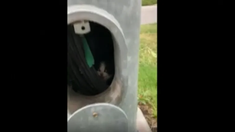 VIDEO Neobičan poziv u pomoć: Spasili mačića iz rasvjetnog stupa: 'Upla&scaron;io se grmljavine pa se sakrio i zapeo'