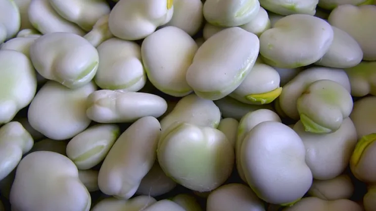 Kako skuhati bob - pripremite bob prema svom ukusu