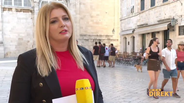 Ravnateljica DZS-a: 'Sustav nije amaterski, tehničkih problema bilo je i u drugim zemljama! Pitanja o stoki i vodokotliću tu su s razlogom'