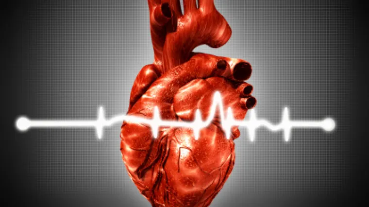 Ljudski otkucaji srca kucaju kao jedno dok slu&scaron;amo istu priču. Stručnjaci otkrivaju kako je to moguće