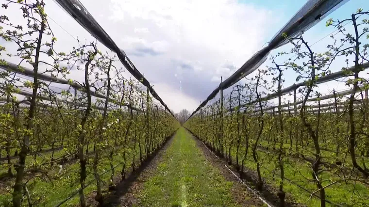 Poljoprivrednik ste i želite dodatnu zaradu? Novac je doslovno u zraku: 'Ovaj projekt omogućuje posjednicima zemlje da to unovčimo'
