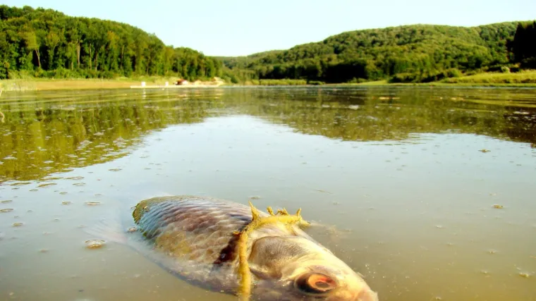 Za 80 godina nas čeka masovno izumiranje? Znanstvenici otkrili nevjerojatna podudaranja: Imamo dobru i lo&scaron;u vijest
