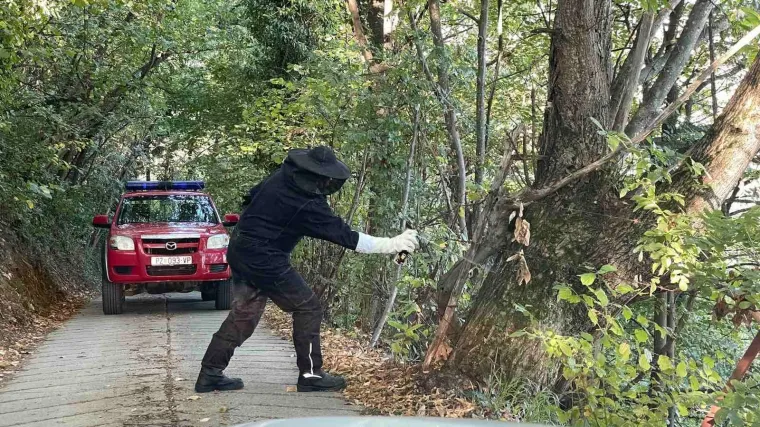 Ugodno druženje u prirodi prekinuli str&scaron;ljeni koji su napali djecu i nastavnike: Dvije osobe u bolnici, HGSS intervenirao